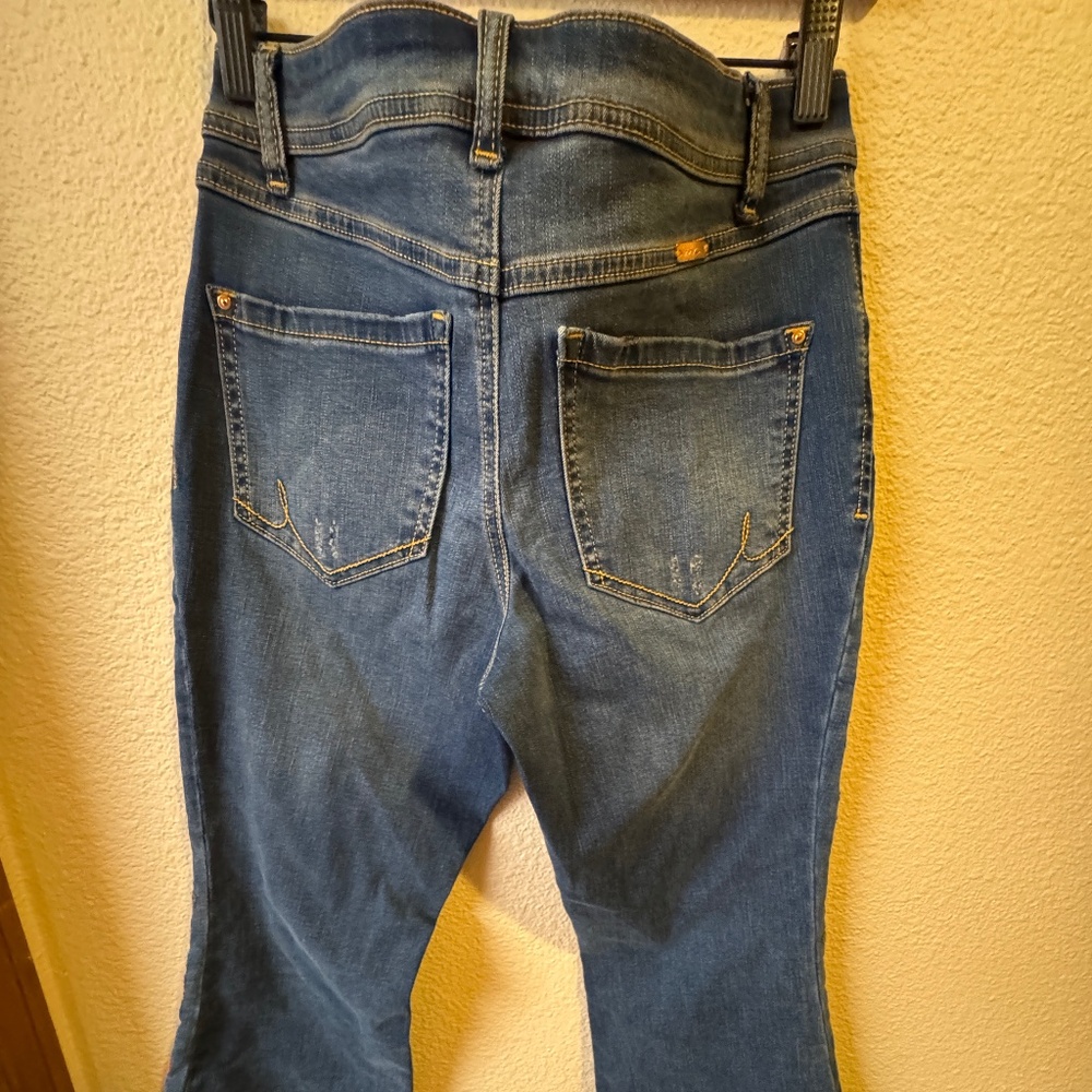 Fabulous Flared Embroidered Jeans - Picture 3 of 7